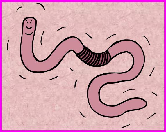 Happy worm